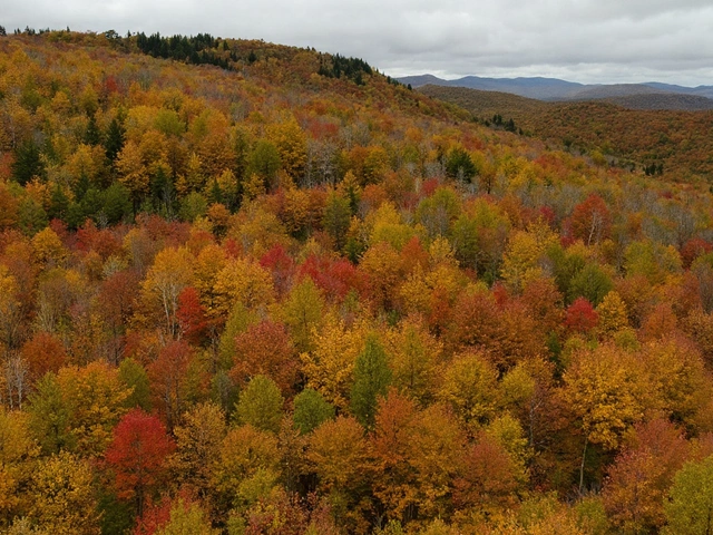 When and Where the United States Hits Peak Fall Foliage