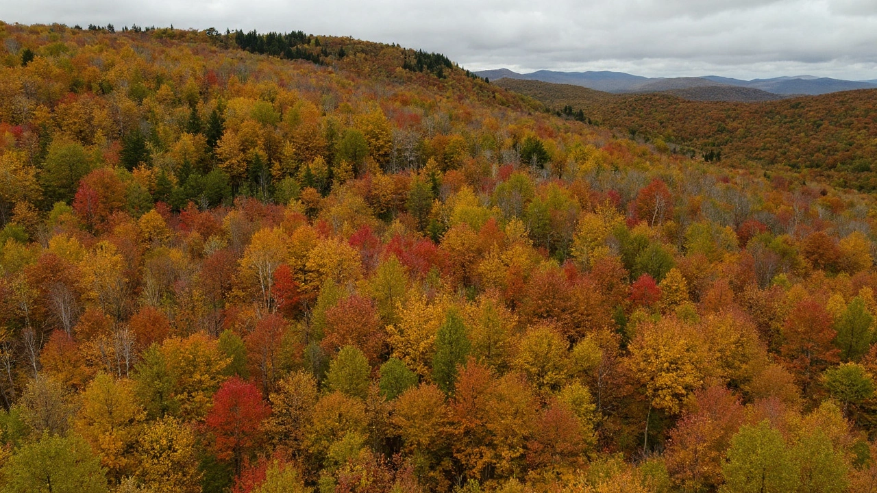 When and Where the United States Hits Peak Fall Foliage